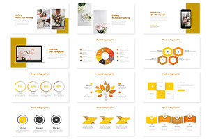 Felsis - Powerpoint Template