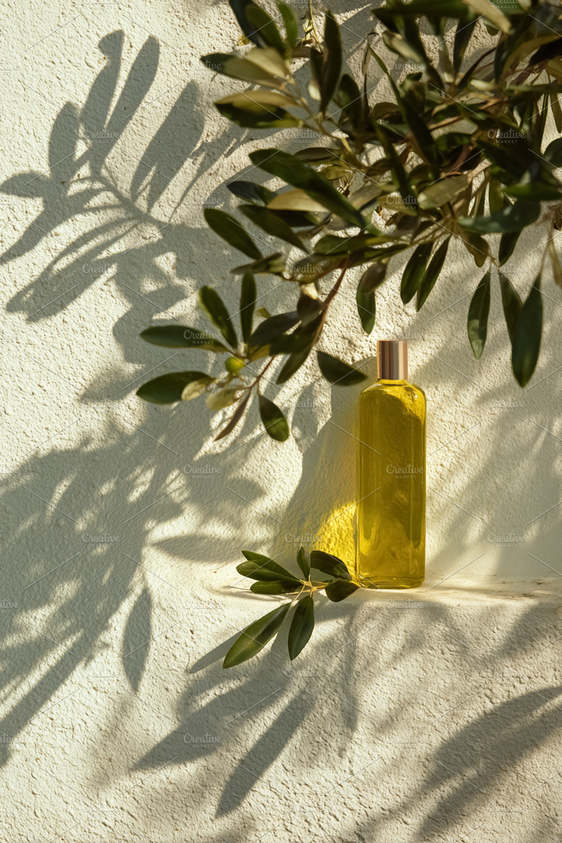 Olive oil bottle with tree branches casting shadows on white wal, a Photo by Studio ANNA