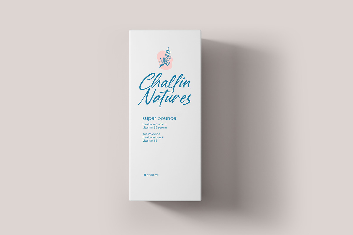 Baterty Spotteam Elegant Brush Font, a Script Font by Letterena Studios Script (Photo 5 of 20)