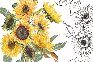 Watercolor Hand Painted Sunflower