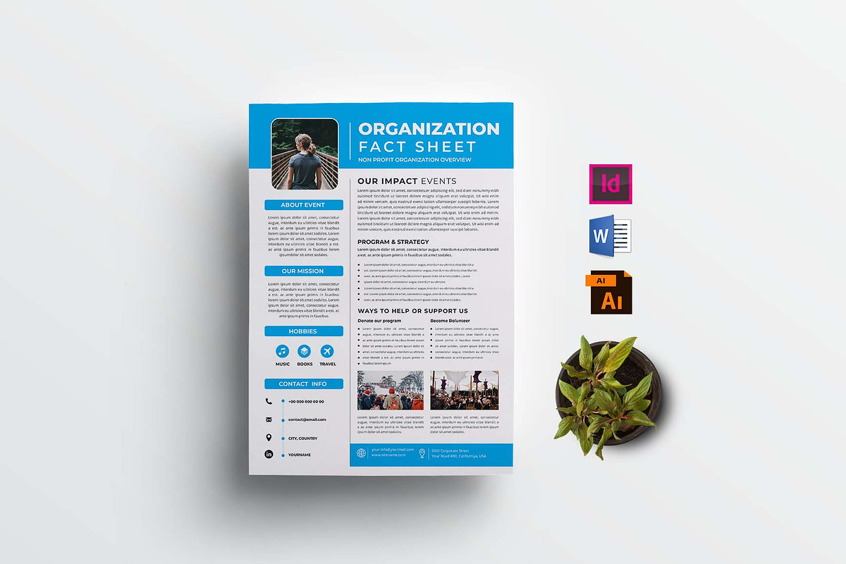 Nonprofit Organization Fact Sheet, a Flyer Template by design_hut (Photo 1 of 4)