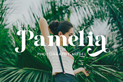 Reliam - Modern Serif Font, a Serif Font by AnnofaType (Thumbnail 2 of 10)