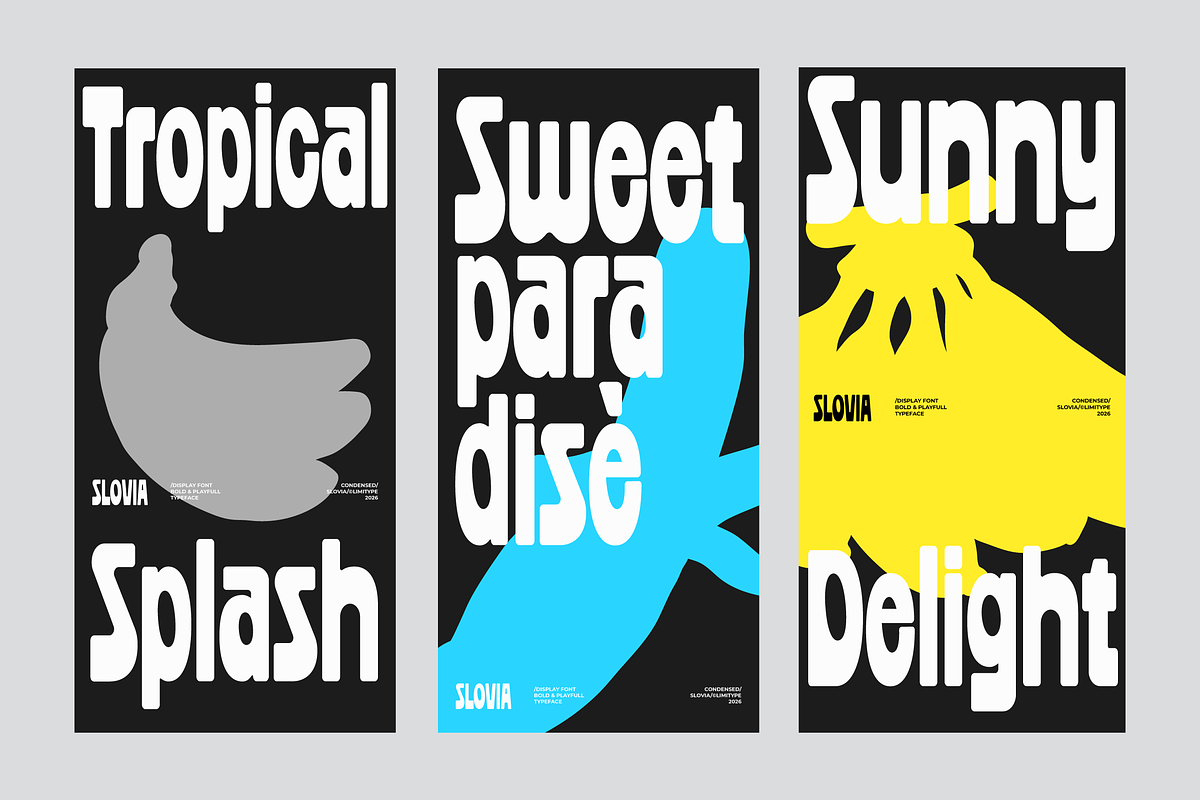 Slovia - Bold Condensed Font, a Sans Serif Font by limitype (Photo 6 of 12)