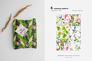 Tropical tiger, animals, leaves, an Animal Illustration by ARTMIRU (Thumbnail 6 of 14)
