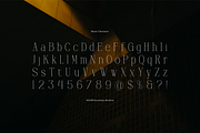 Hustasea | Modern Display Serif, a Serif Font by gracetype_studio (Thumbnail 10 of 12)