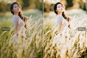 Tithonia Pro Lightroom Presets