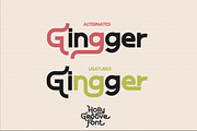 Holly Groove - Sans With Swash, a Sans Serif Font by BearyType Studio (Thumbnail 9 of 15)
