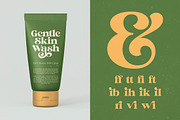 Jungle Melon Groovy Display Serif, a Serif Font by timelesstype.co (Thumbnail 10 of 20)