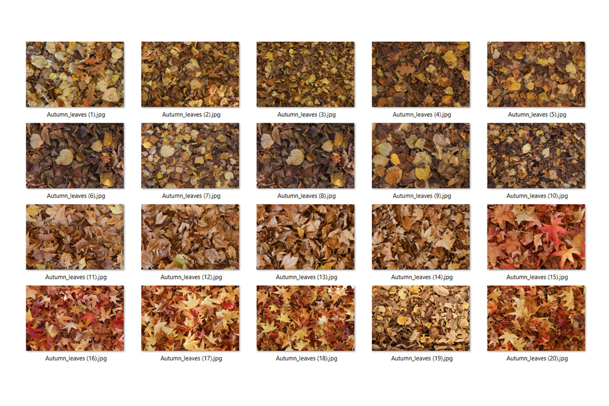 20 Autumn Leaves Texture, a Texture Graphic by CCPreset (Photo 2 of 3)