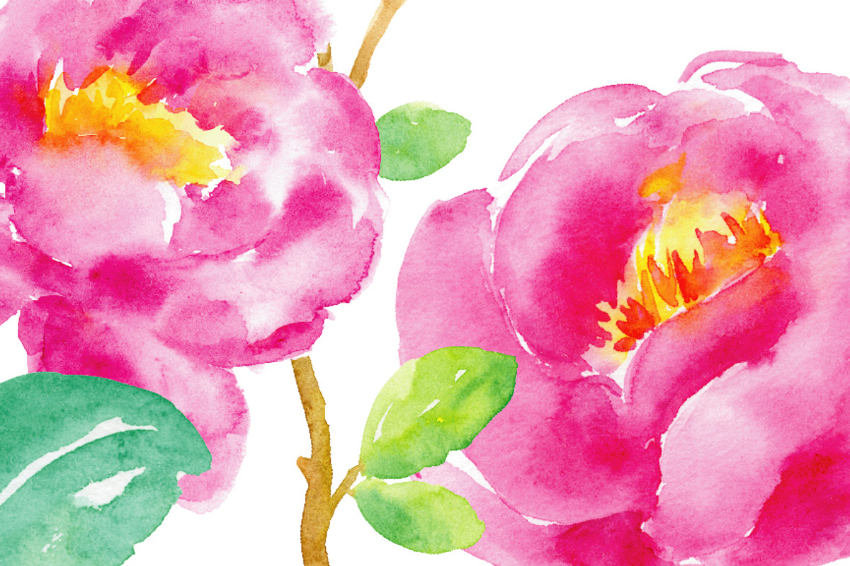 Watercolor Clipart Purple Tree Peony, an Illustration by Corner Croft (Photo 3 of 4)