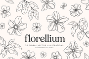 Floral Vector Illustrations, a Decorative Illustration by Emma Webb Studio (Thumbnail 1 of 5)
