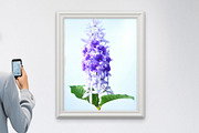 Petrea Volubilis Fine Art Print, a Nature Photo by VietArtworks (Thumbnail 1 of 6)