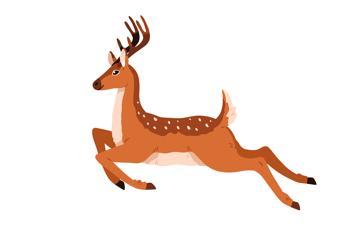 Cute deer childish cartoon set, an Animal Illustration by Good Studio (Photo 6 of 7)
