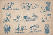32 Hand Drawn Dogs and Puppies, an Animal Illustration by Mr Vintage (Thumbnail 2 of 5)