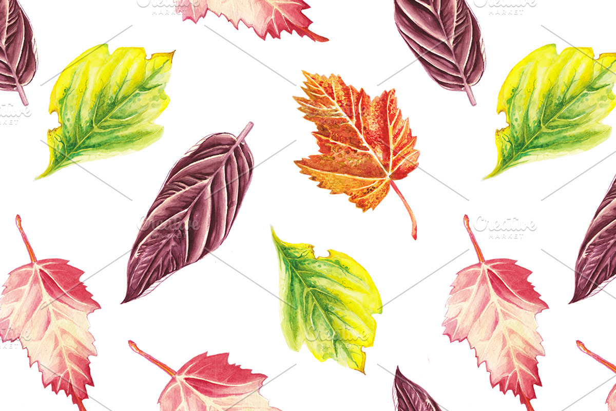 Watercolor autumn set, a Pattern Graphic by lenavetka87 (Photo 3 of 3)