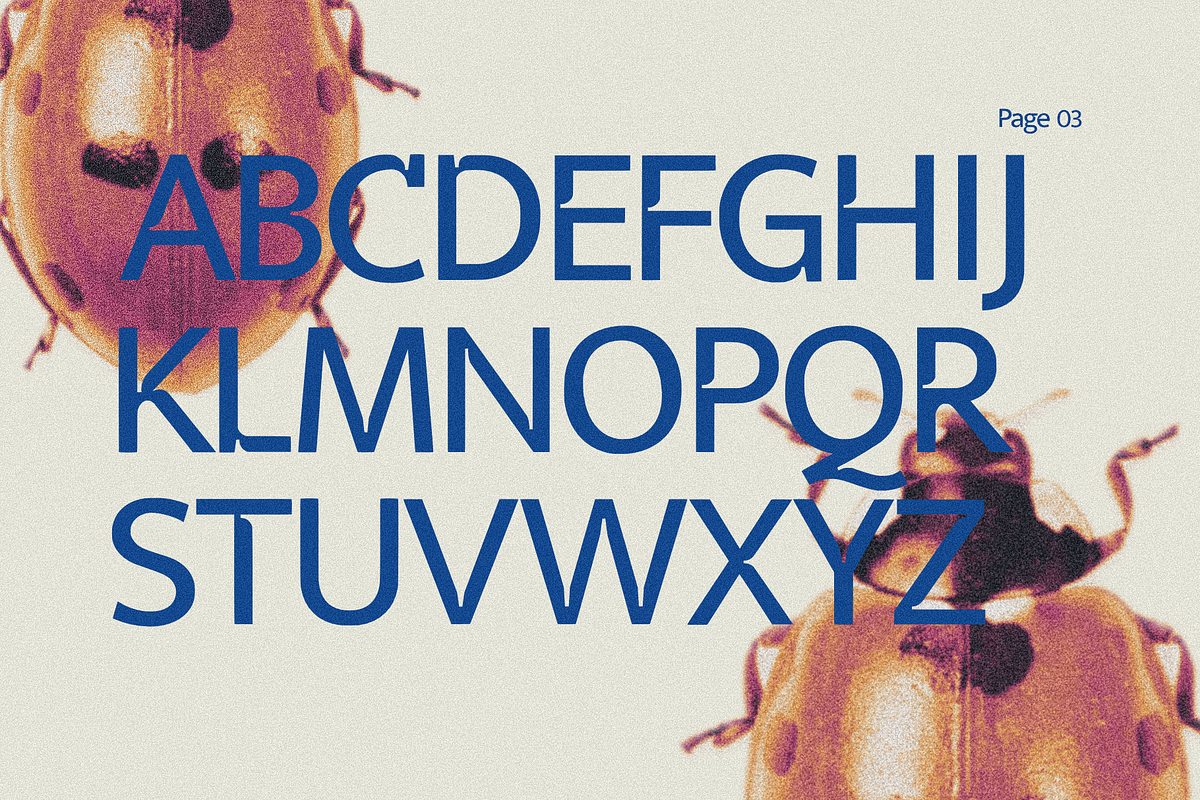 Veyla — Fashion-Edged Display Poise, a Sans Serif Font by ethylene.creative (Photo 3 of 12)