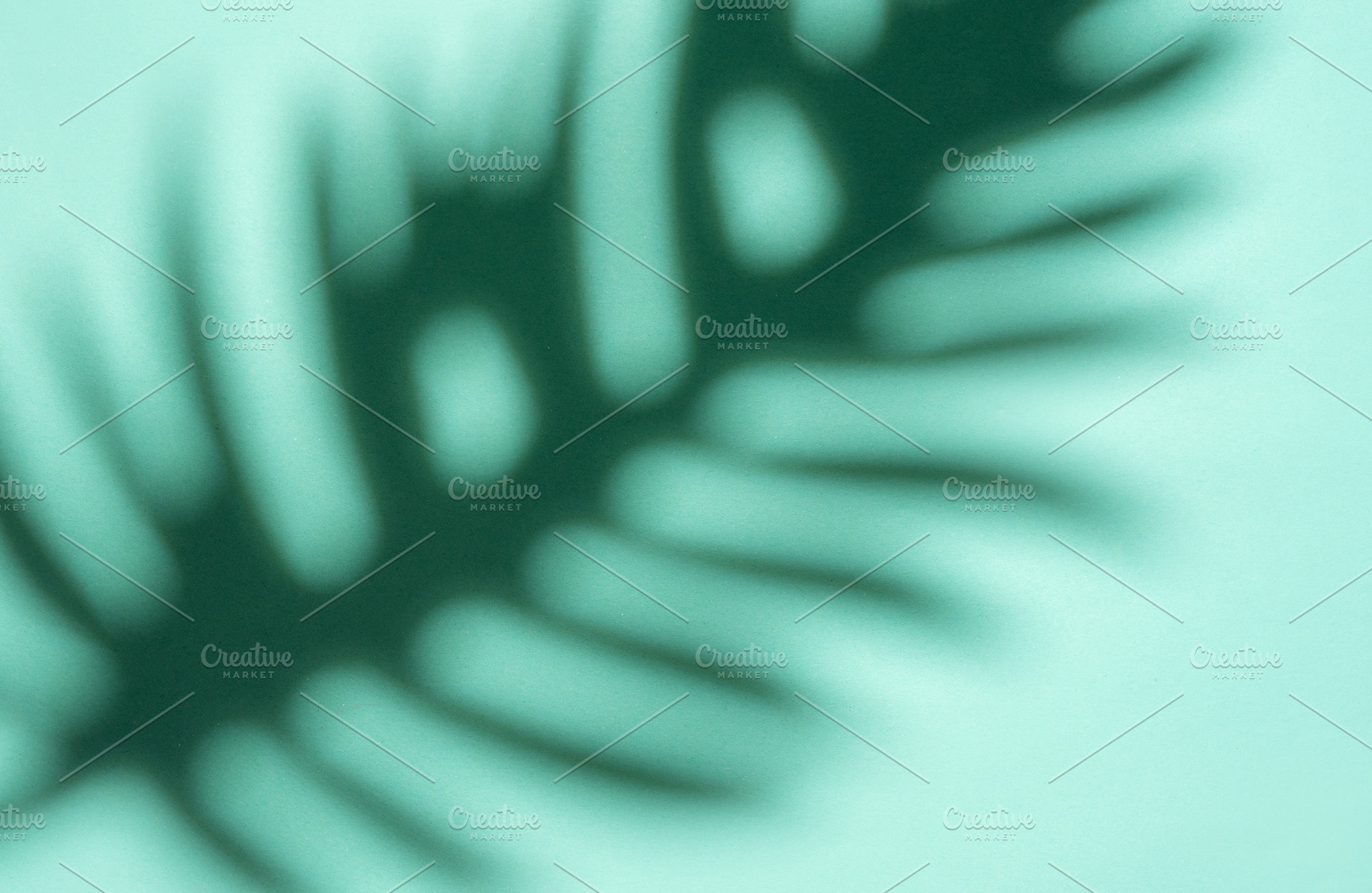 Shadows from palm leaves, a Nature Photo by Olena Rudo