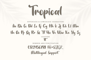 Tripical - Display Font