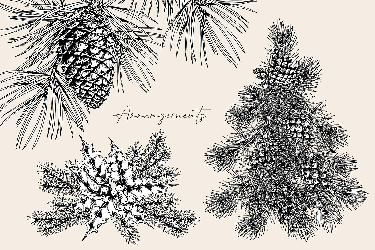 Forest branches, an Object Illustration by Jeanna Draw (Photo 4 of 13)