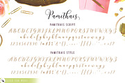 New Pamithais Script, a Script Font by Barland Design (Thumbnail 8 of 10)