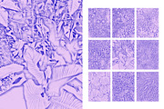 Duotone Foliage, a Texture Graphic by maggiereuter (Thumbnail 4 of 6)
