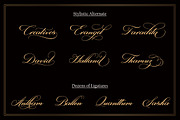 Danizatti script, a Script Font by Slex Studio (Thumbnail 3 of 10)