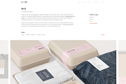 Ellion | Portfolio Template, a WordPress Template by premiumwd (Thumbnail 3 of 5)