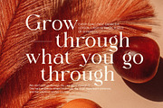 Signer Elegant Serif Font, a Serif Font by Elegant Font (Thumbnail 6 of 8)