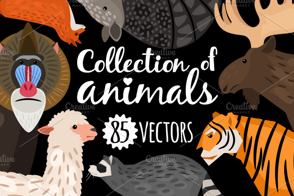 Big Set of Animals, an Object Graphic by ianakauri (Photo 1 of 12)