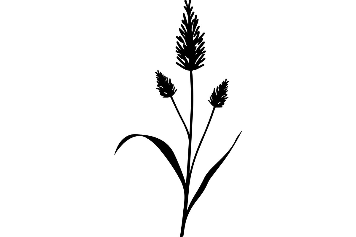 Decorative Tribal Feather Vector, an Object Graphic by Designer_Momina (Photo 10 of 18)