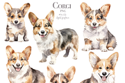 Corgi, an Illustration by TheCuteShop (Thumbnail 2 of 3)