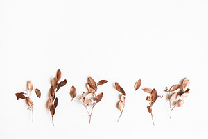Eucalyptus leaves containing eucalyptus, golden, and brown