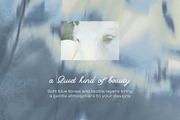 Veloura Frost — Blue Backgrounds, a Background Graphic by DigARTbyHavroshka (Thumbnail 2 of 12)