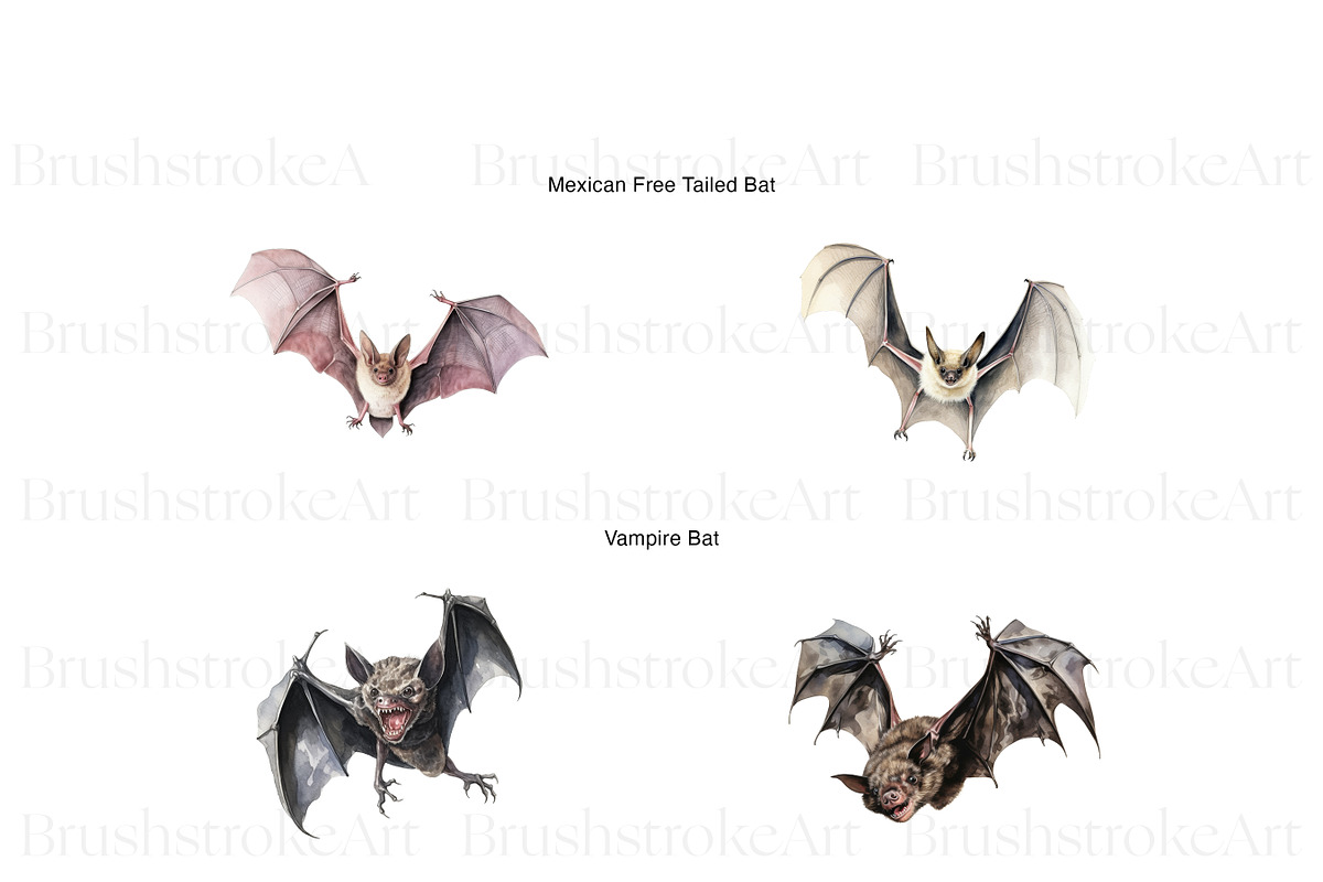 Watercolor Bat Clipart, Cute Bat PNG, an Animal Illustration by BrushstrokeArtGB (Photo 4 of 9)