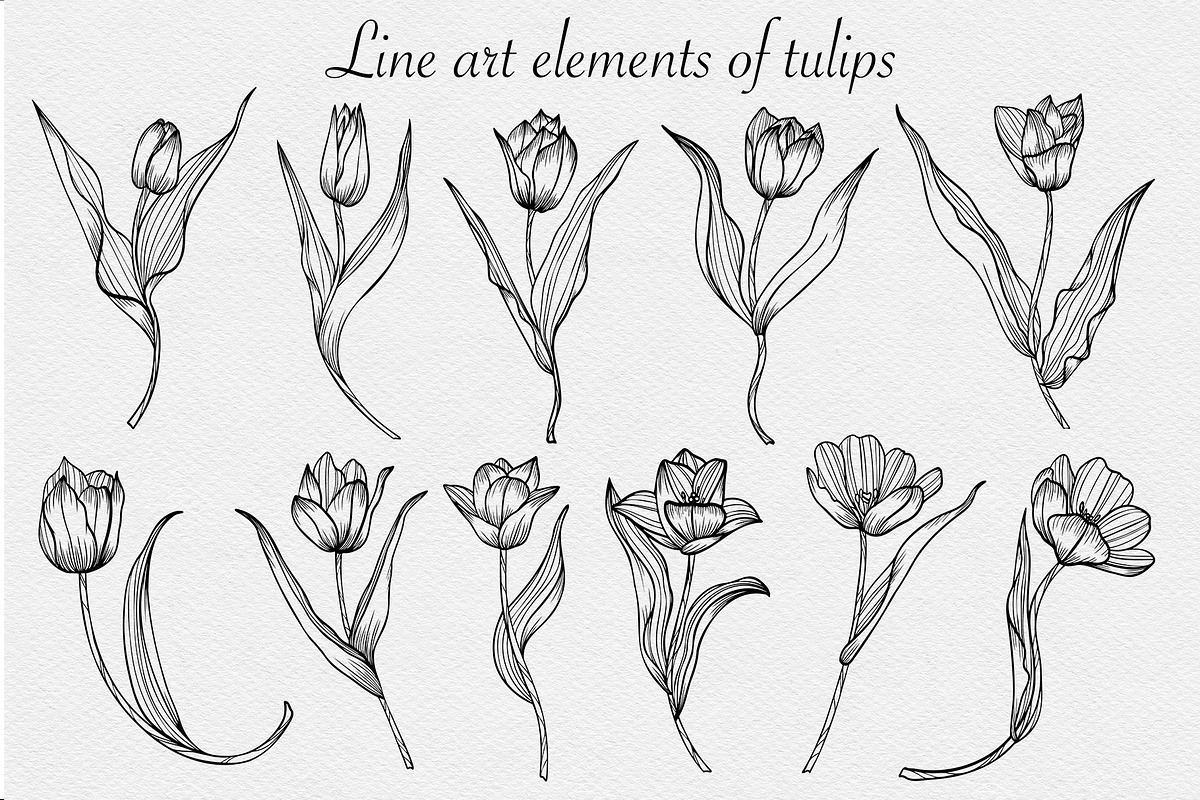 Tulips set SVG, an Object Graphic by mArtstore (Photo 2 of 6)