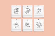 Fruit Garden Vector Illustrations, a Decorative Illustration by Emma Webb Studio (Thumbnail 4 of 7)