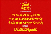 Black Candy – Bold Script Typeface, a Font by typeline studio (Thumbnail 11 of 12)