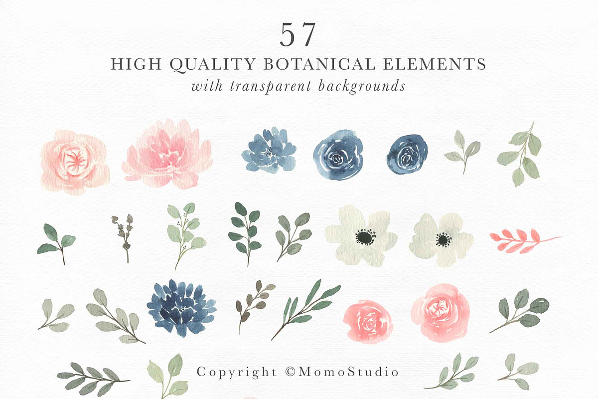 Blush and Navy Watercolor Florals, a Work Illustration by Momo Studio (Photo 5 of 12)