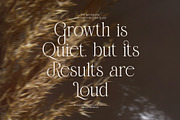 Damita Elegant Serif Display Font, a Serif Font by Perfectype (Thumbnail 6 of 8)
