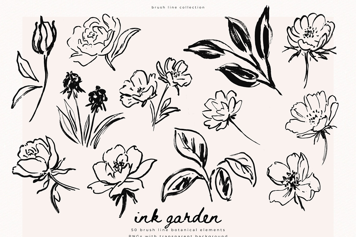 Ink Garden - 50 Brush Line Elements, a Decorative Illustration by PeDe Designs (Photo 5 of 7)