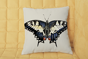 Swallowtail Butterfly Life Cycle, an Education Illustration by Tati Bordiu (Thumbnail 3 of 3)