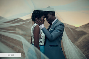 Matte Wedding Presets