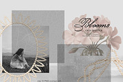 Old Master Blooms. Collage kit, an Object Graphic by Polli Deeva (Thumbnail 10 of 12)