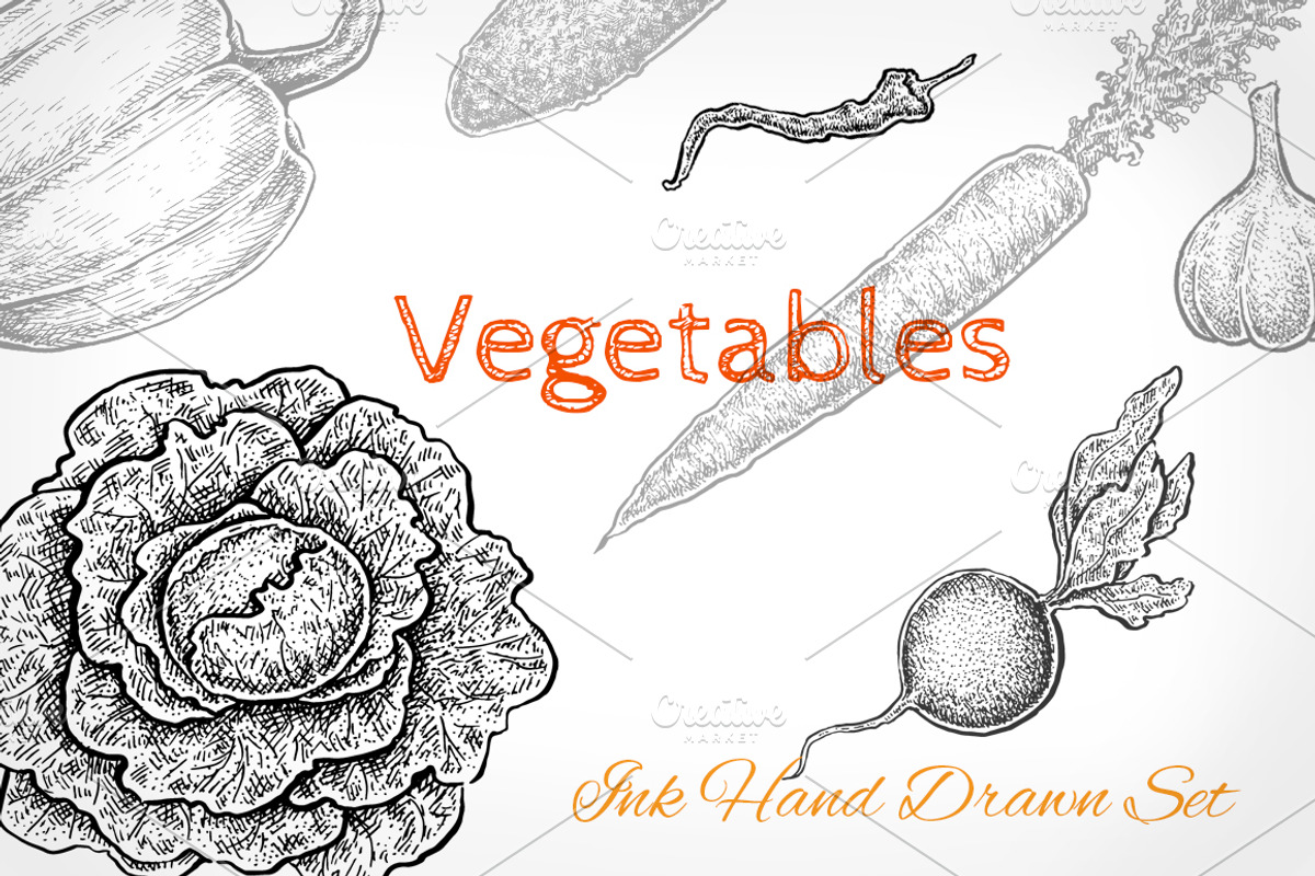 Vegetables Collection, an Object Graphic by Eugenia Hauss Design (Photo 1 of 3)