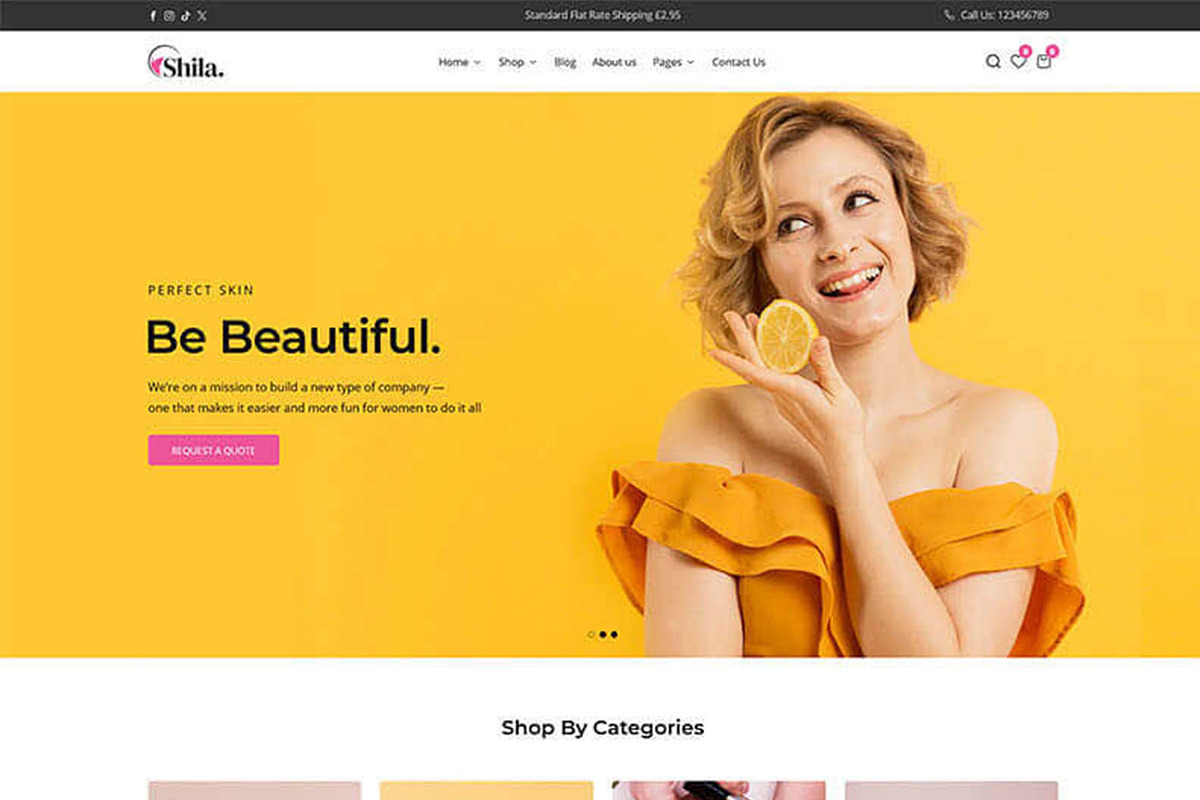 Shila - Cosmetics Shopify Theme, a Shopify Template by Team90Degree (Photo 3 of 14)