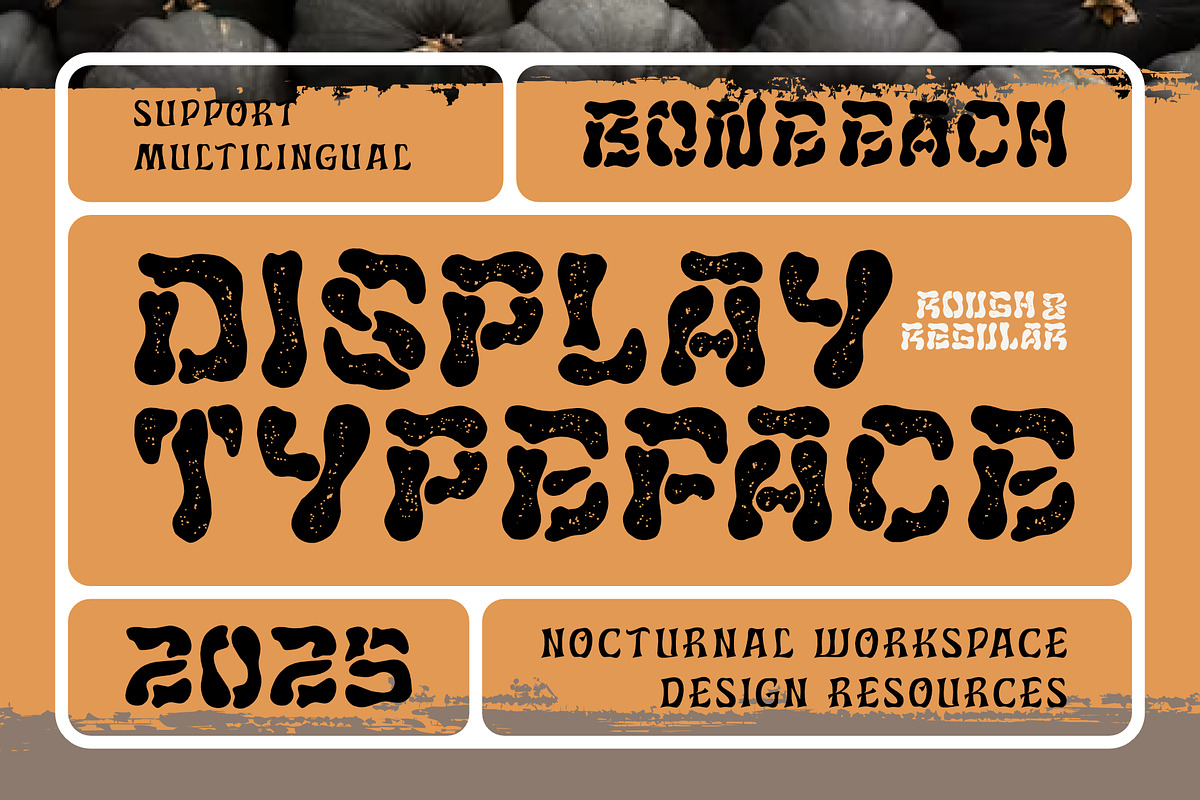 Bone Each Font, a Symbol Font by Nocturnal Workspace (Photo 2 of 7)