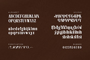 Bishry - Elegant Serif Font, a Serif Font by TypeLogue (Thumbnail 5 of 5)