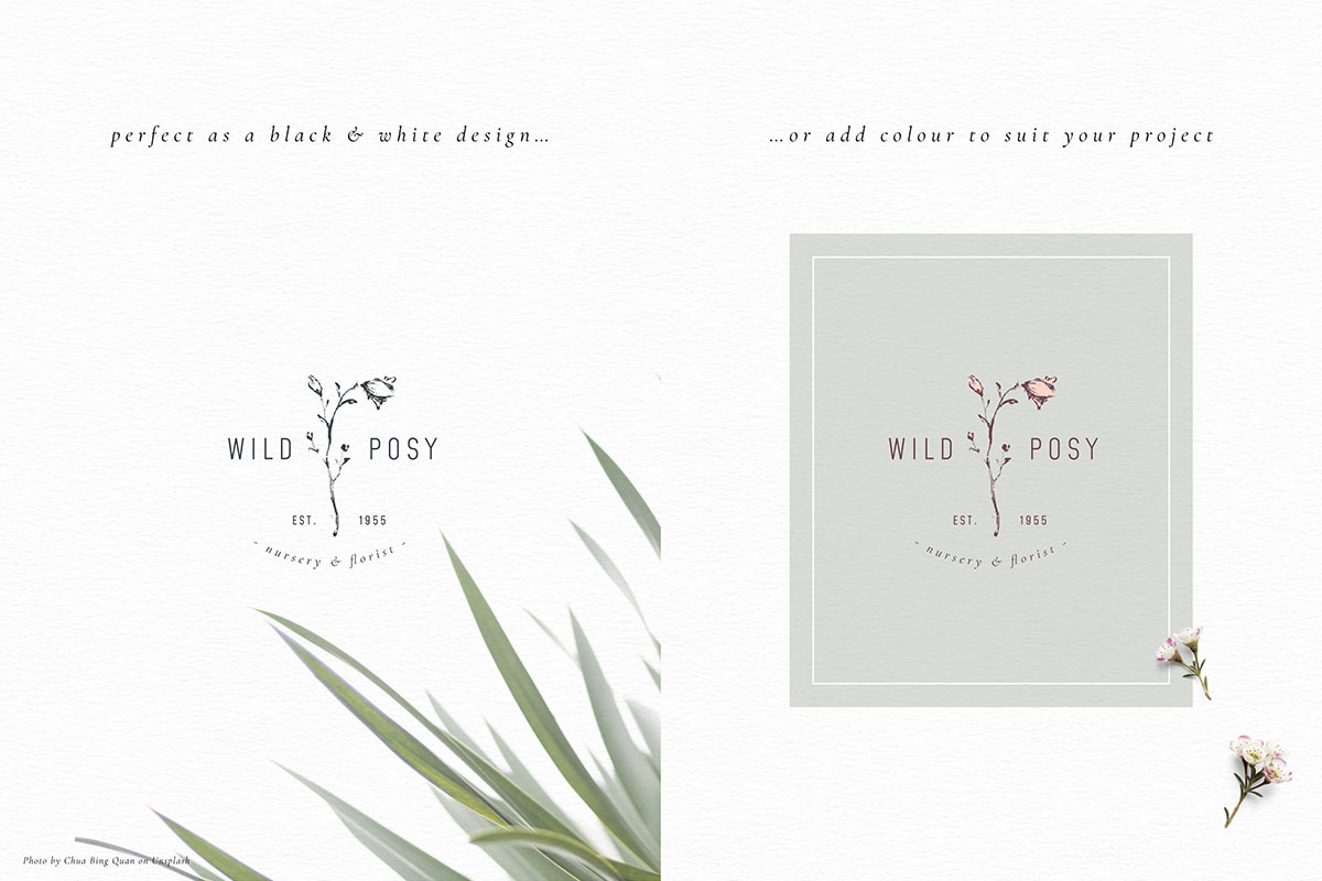 Ink botanicals, logos & patterns, a Texture Illustration by Lisa Glanz (Photo 26 of 32)
