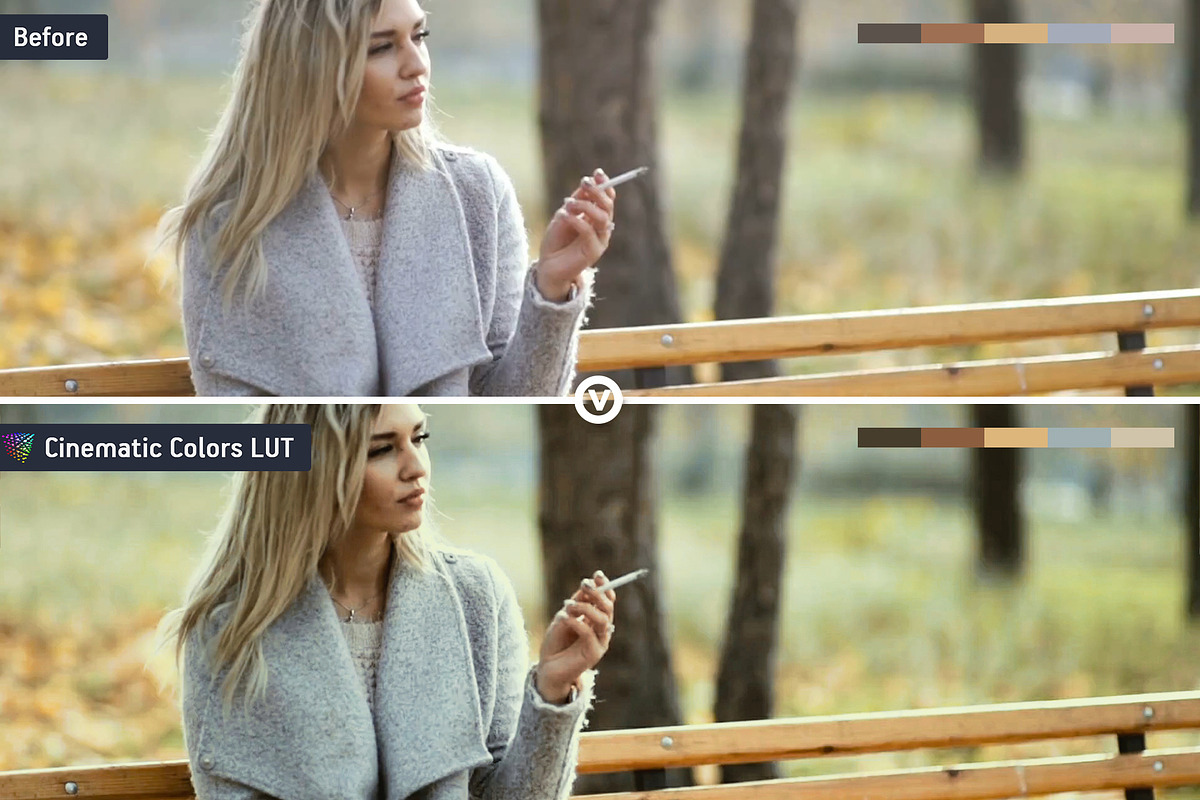 Cinematic Colors Video LUTs, a Preset Add-On by CineMart (Photo 7 of 7)