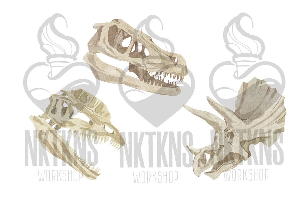 Dinosaur Skeleton Watercolor, an Animal Illustration by NKTKNS (Photo 4 of 6)